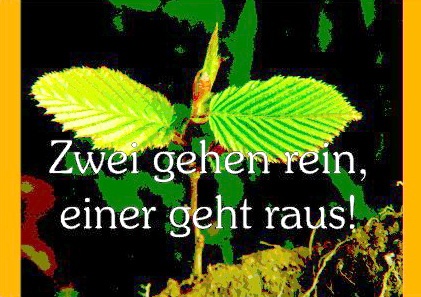harbusch-postkarte-fruhling_421