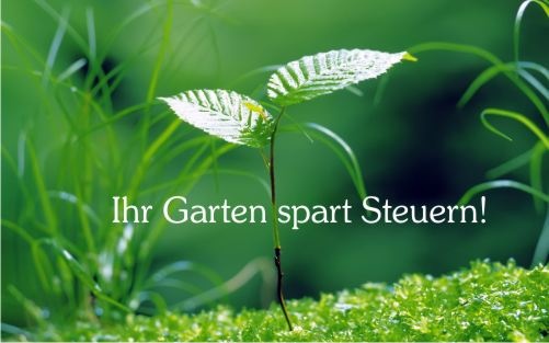 harbusch-postkarte_501